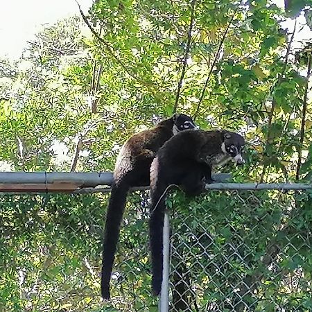 Nature House Monteverde Bagian luar foto