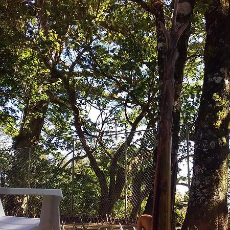 Nature House Monteverde Bagian luar foto