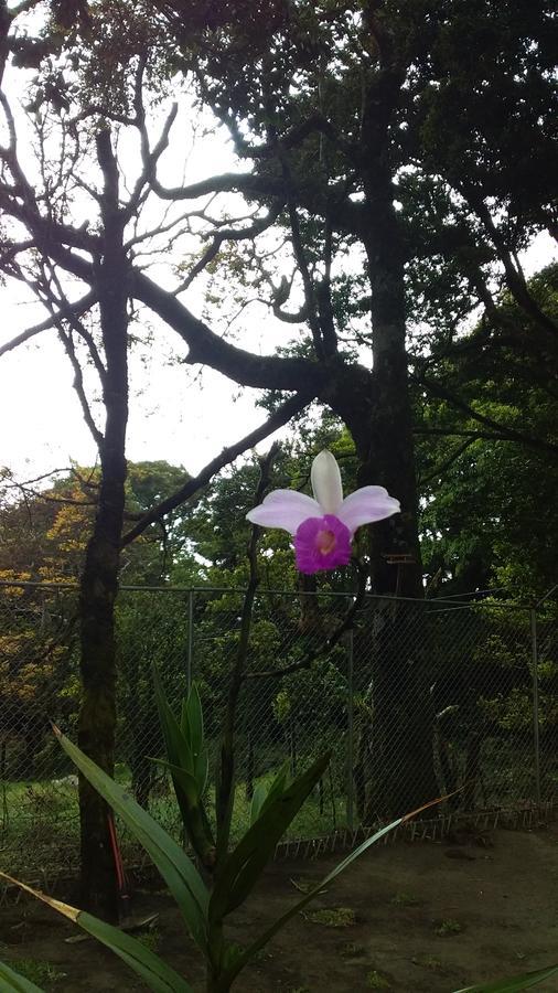 Nature House Monteverde Bagian luar foto